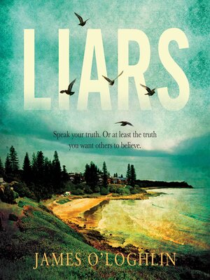 cover image of Liars